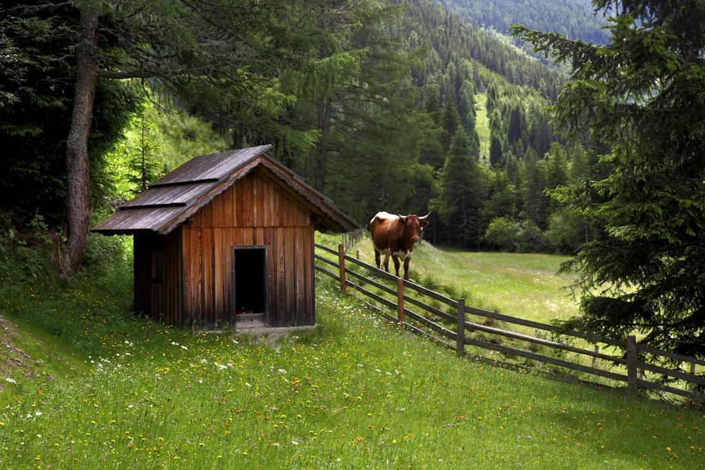 Gasserhütte Innerkrems Habitación foto