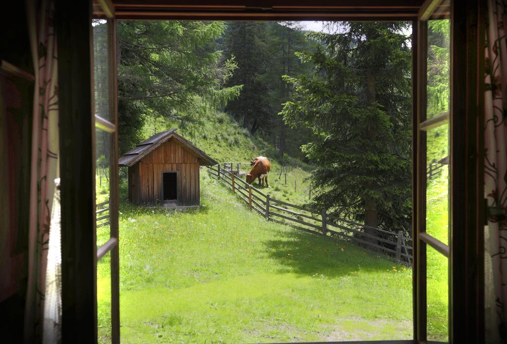 Gasserhütte Innerkrems Habitación foto