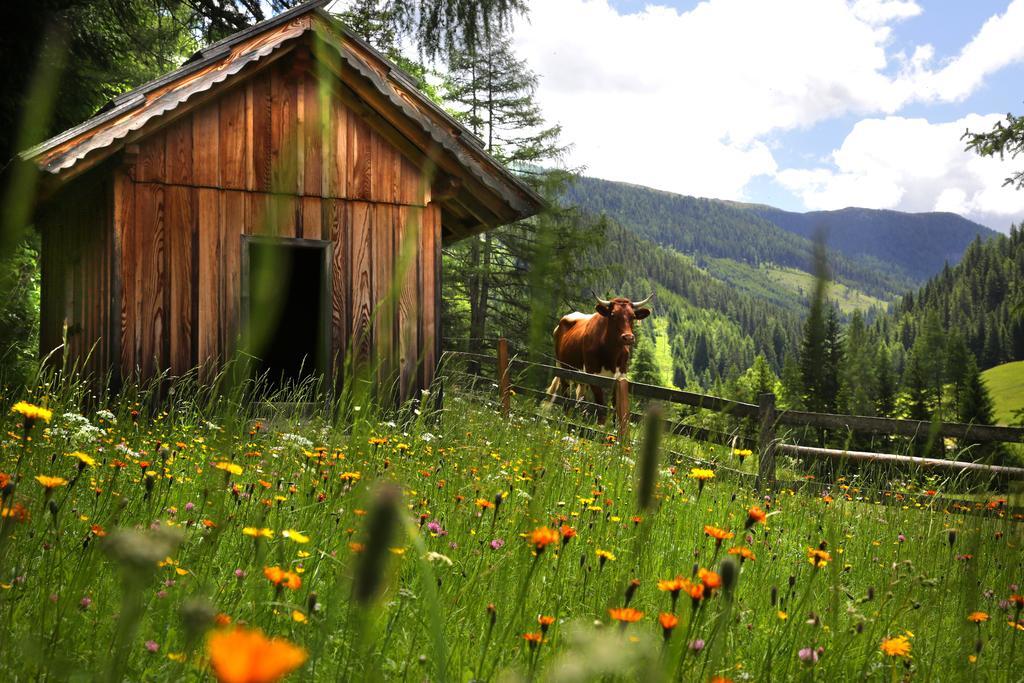 Gasserhütte Innerkrems Habitación foto